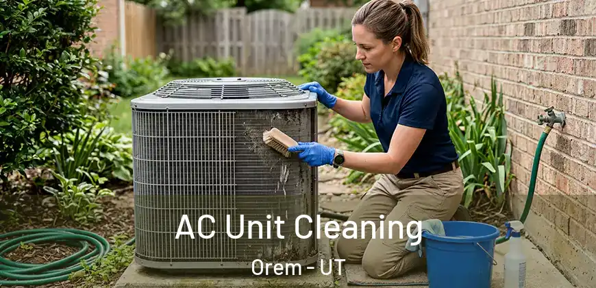  AC Unit Cleaning Orem - UT